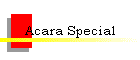 Acara Special